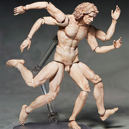 Vitruvian Man The Table Museum Figma Action Figure 16 cm
