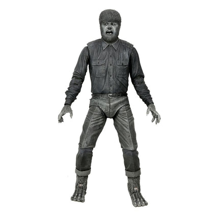Universal Monsters Action Figure Ultimate The Wolf Man (Black & White) 18 cm NECA 04810