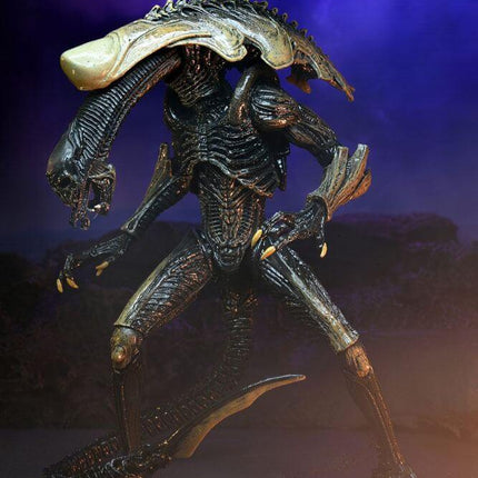 Alien vs Predator Figurka 20 cm Alien Case NECA 51717 - MARZEC 2022